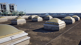 ����g�b�v���C�g�@�{�H�O