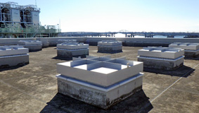 ����g�b�v���C�g�@�{�H��