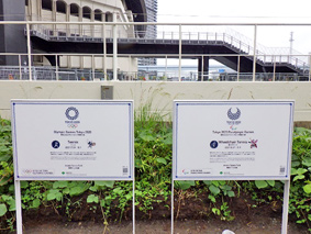 �L���e�j�X�̐X����