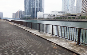 豊洲運河　管理柵補修工事